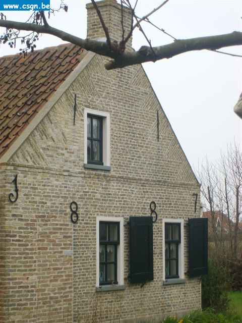 Terschelling_2009_056[1].JPG